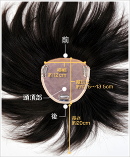 �x�[�X�S�̃C���[�W